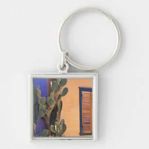 Southwestern Cactus (Opuntia dejecta) and Key Ring