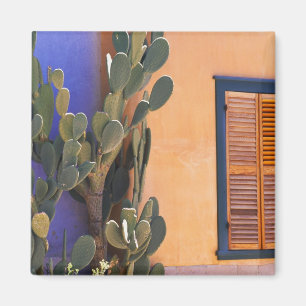 Southwestern Cactus (Opuntia dejecta) and Magnet