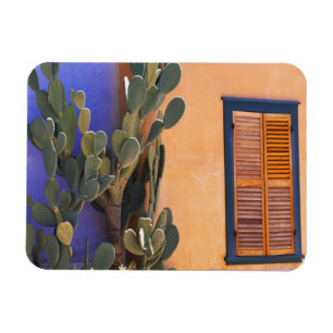 Southwestern Cactus (Opuntia dejecta) and Magnet