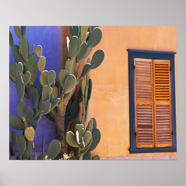 Southwestern Cactus (Opuntia dejecta) and Poster (Front)