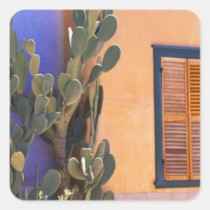 Southwestern Cactus (Opuntia dejecta) and Square Sticker