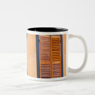 Southwestern Cactus (Opuntia dejecta) and Two-Tone Coffee Mug