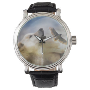 Southwestern Wolf and Red Tail Hawk Watch