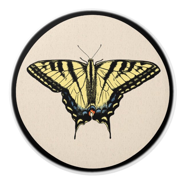 Southwestern Yellow Swallowtail Butterfly Ceramic Knob (Front)