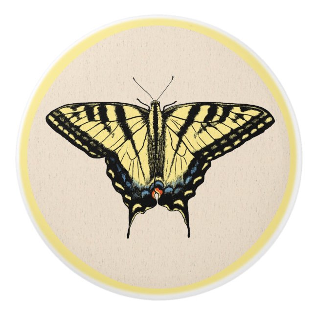 Southwestern Yellow Swallowtail Butterfly  Ceramic Knob (Front)