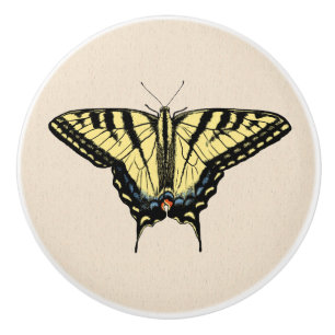 Southwestern Yellow Swallowtail Butterfly   Ceramic Knob
