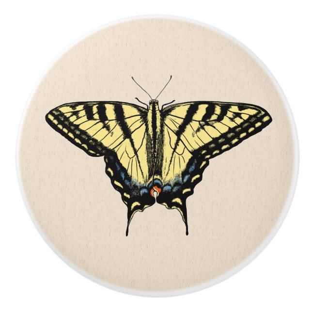 Southwestern Yellow Swallowtail Butterfly   Ceramic Knob (Front)