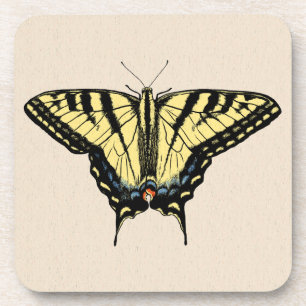 Southwestern Yellow Swallowtail Butterfly Coaster