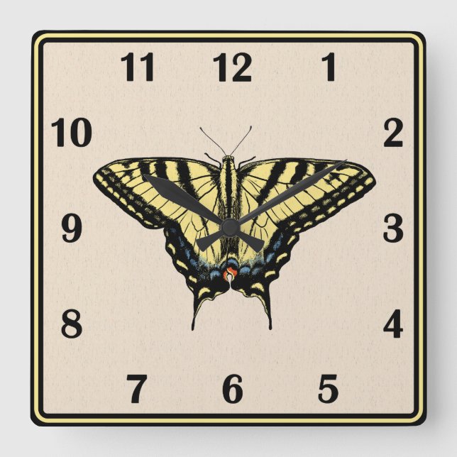 Southwestern Yellow Swallowtail Butterfly  Square Wall Clock (Front)