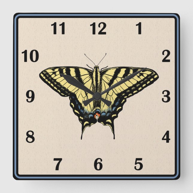 Southwestern Yellow Swallowtail Butterfly Square Wall Clock (Front)