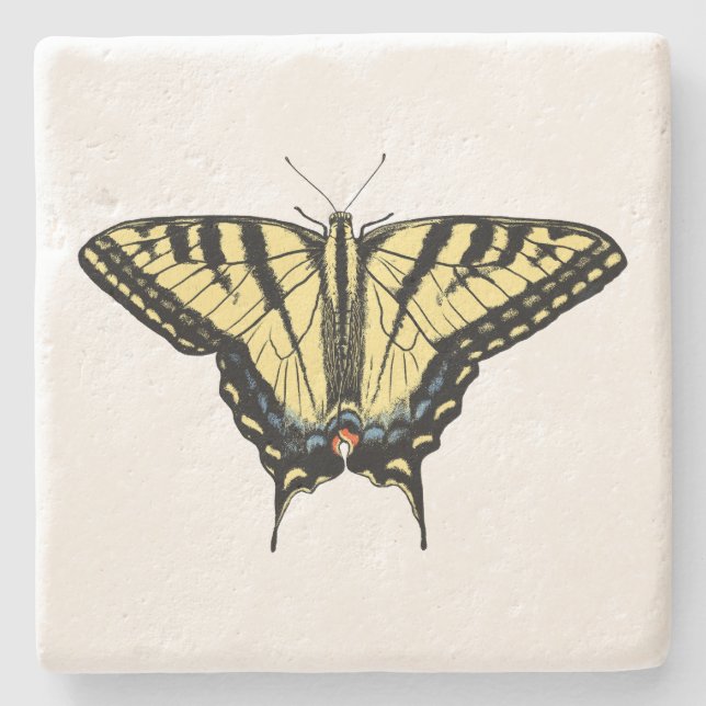 Southwestern Yellow Swallowtail Butterfly   Stone Coaster (Front)