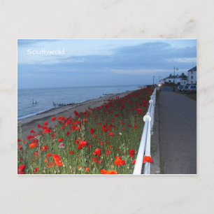 Southwold Poppies Dusk Postcard