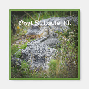 Souvenir Magnet