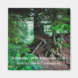 Souvenir Magnet: Forks, WA Peninsula Magnet