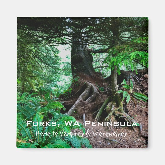 Souvenir Magnet: Forks, WA Peninsula Magnet (Front)