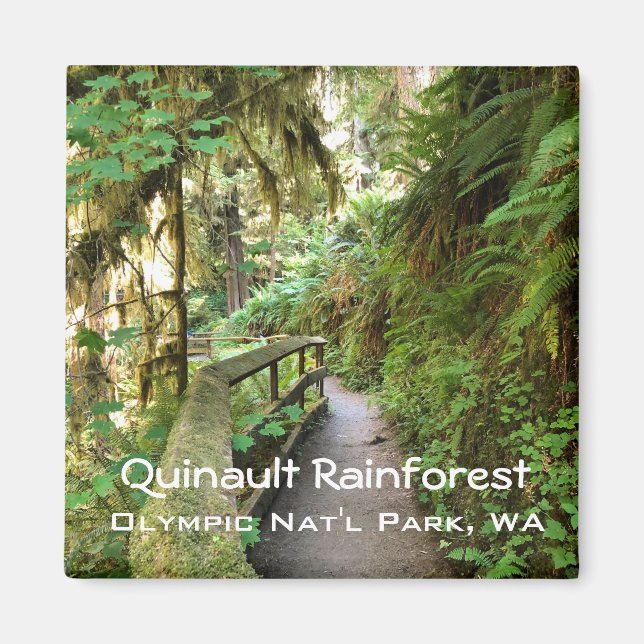 Souvenir Magnet—Quinault Rainforest, Olympic NP Magnet (Front)