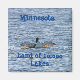 Souvenir of Minnesota Magnet