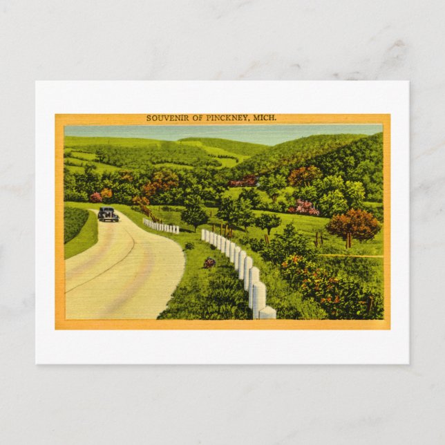 Souvenir of Pickney, MI Vintage Postcard (Front)