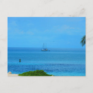 Souvenir of the Bahama Islands Postcard