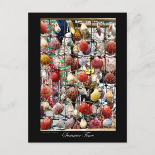 souvenir sea shells at Paphos Cyprus Postcard