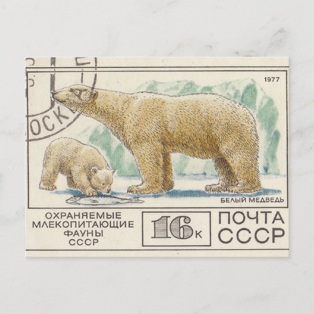 Soviet postage stamp polar bear postcard (Front)