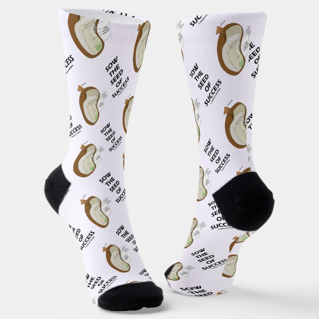 Sow The Seed Of Success Dicotyledon Bean Seed Socks (Angled)