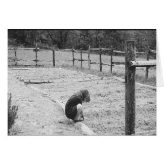 Sowing the Seeds of Love