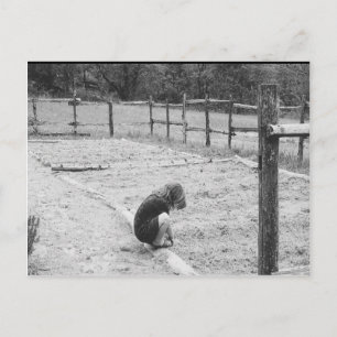 Sowing the Seeds of Love Postcard