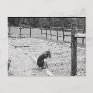 Sowing the Seeds of Love Postcard