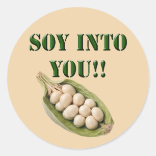 Soy Into You: A Vegan Love Story, Classic Round Sticker
