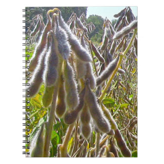 Soybean Plant Close-up Spiral Photo Notebook