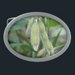 Soybean Plant Farming Rural Country Oval Belt Buckle<br><div class="desc">Soybean Belt Buckle</div>