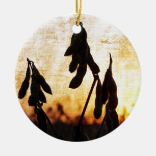 Soybean Sunset Ceramic Tree Decoration