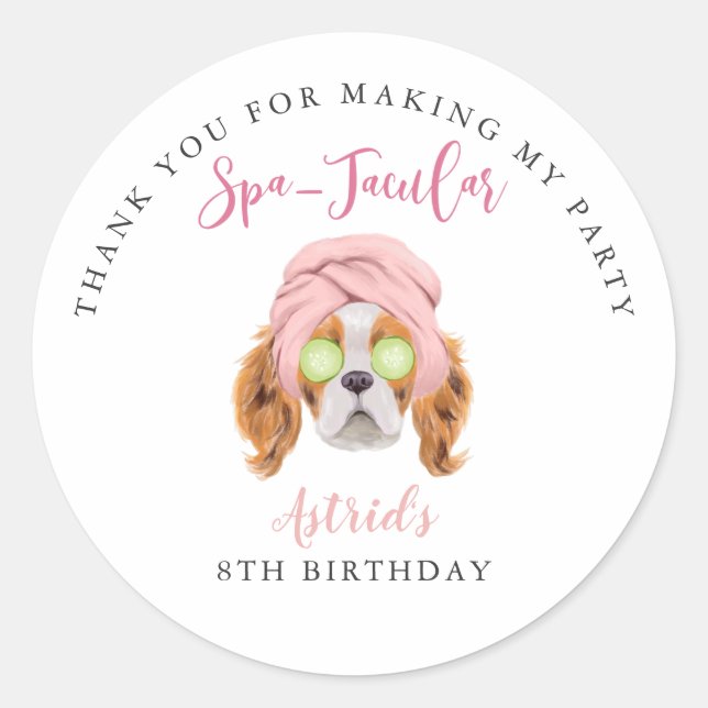 Spa Glam Squad Birthday Party Thank You Classic Round Sticker (Front)