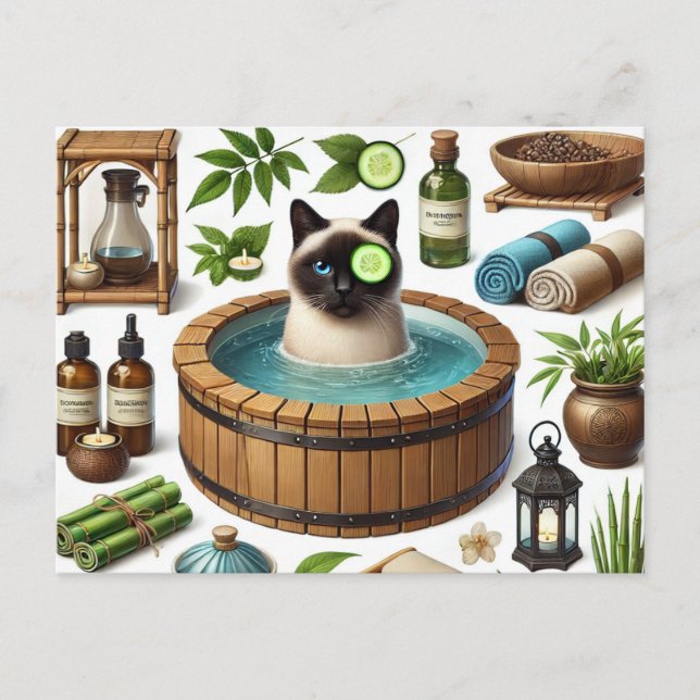 Spa party for Siamese Cat Lovers  Postcard (Front)