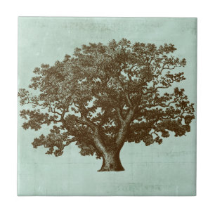 Spa Tree IV Tile