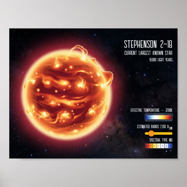 Space Astronomy Biggest Star Science Infographic  Poster (Front)