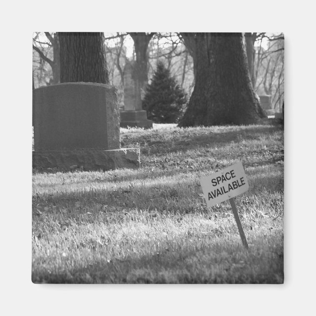Space Available (b&w) Magnet (Front)