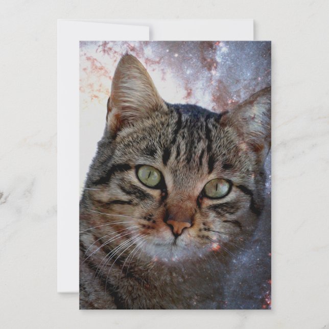 Space Cat (Front)