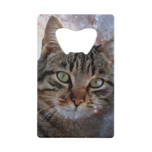 Space Cat