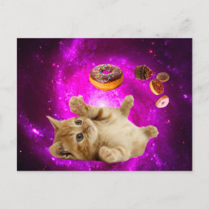 Space cat and the flying doughnuts postcard