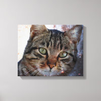 Space Cat