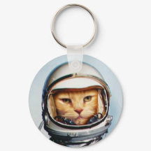 Space Cat