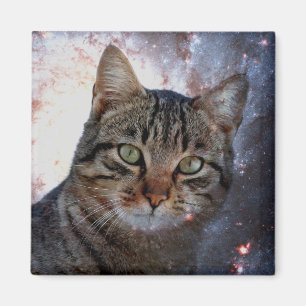 Space Cat Magnet