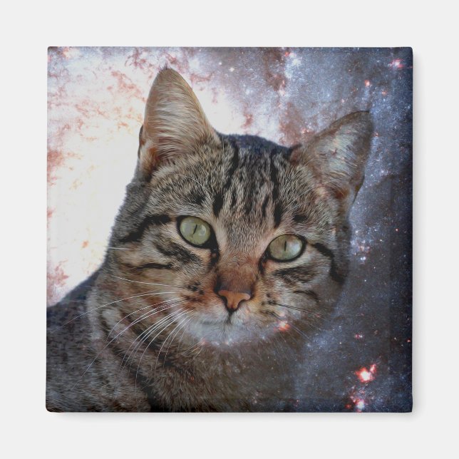 Space Cat Magnet (Front)
