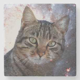 Space Cat Stone Coaster