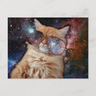 Space cat wearing sunglasses postcard
