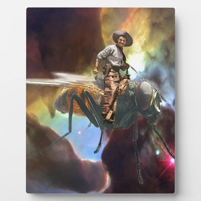 Space Cowboy Plaque (Front)