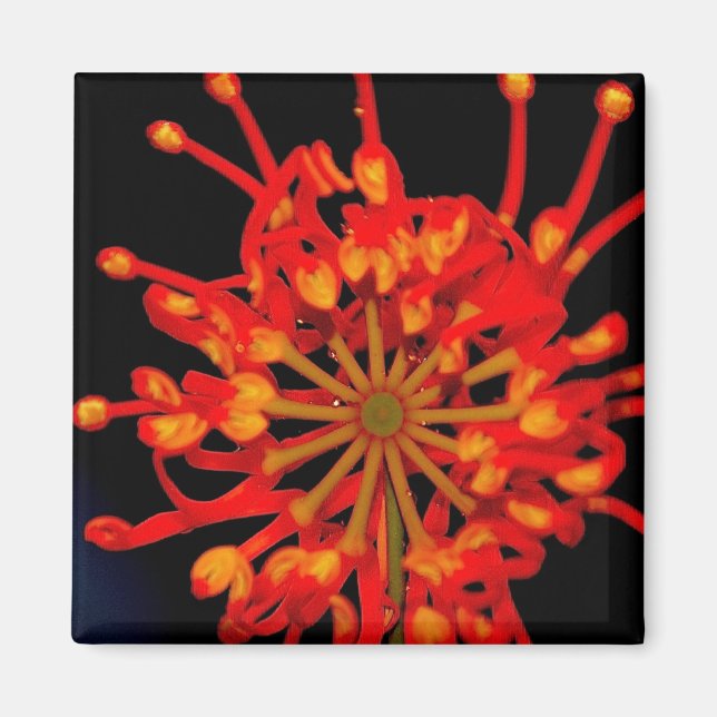Space Flower Magnet (Front)