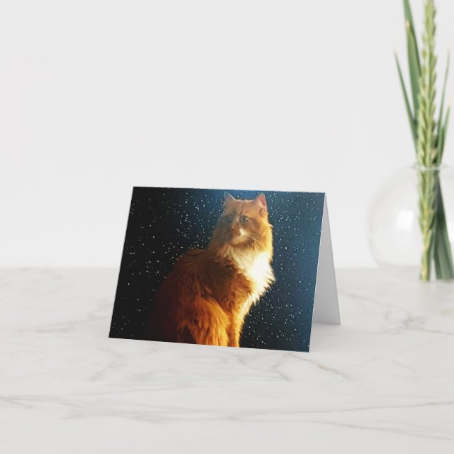 Space Kitty and stars card (Front)